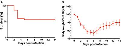 Endothelial Dysfunction and Impaired Neurovascular Coupling Responses Precede Cognitive Impairment in a Mouse Model of Geriatric Sepsis